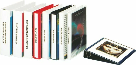 Esselte Panorama-ringband 4-ringen Van 16mm Wit 49700 3 Esselte Panorama-ringband 4-ringen Van 16mm Wit 49700 - Afbeelding 3