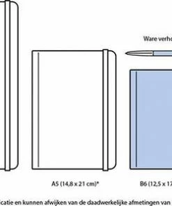 Lannoo Schoolagenda 2022-2023 Love Daisies -Parker Shop 550x300 10