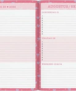 Lannoo Schoolagenda 2022-2023 Love Daisies -Parker Shop 550x380 4