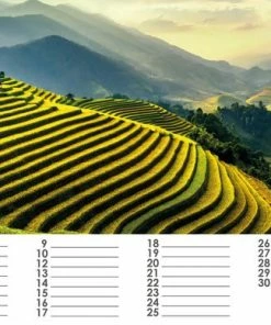 Huurdies Natuurkalender 35x24 Cm | Verjaardagskalender Natuur | Verjaardagskalender Volwassenen 29 Huurdies Natuurkalender 35x24 Cm | Verjaardagskalender Natuur | Verjaardagskalender Volwassenen -Parker Shop 550x388 14