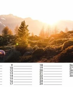 Huurdies Natuurkalender 35x24 Cm | Verjaardagskalender Natuur | Verjaardagskalender Volwassenen 22 Huurdies Natuurkalender 35x24 Cm | Verjaardagskalender Natuur | Verjaardagskalender Volwassenen -Parker Shop 550x388 7