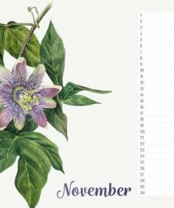 Studio Colori Verjaardagskalender Wilde Bloemen - Wandkalender A4 - Niet Jaargebonden -Parker Shop 550x390 1