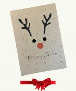 Groeikaartje Kerstkaart Met Enveloppen - 6 Stuks - Bloeikaart Met Zaadjes - Luxe Kerstkaart Van Groeipapier 10 Groeikaartje Kerstkaart Met Enveloppen - 6 Stuks - Bloeikaart Met Zaadjes - Luxe Kerstkaart Van Groeipapier -Parker Shop 550x390 3