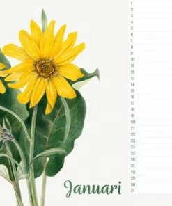 Studio Colori Verjaardagskalender Wilde Bloemen - Wandkalender A4 - Niet Jaargebonden -Parker Shop 550x403 2