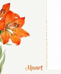 Studio Colori Verjaardagskalender Wilde Bloemen - Wandkalender A4 - Niet Jaargebonden -Parker Shop 550x407 4