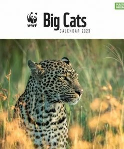 CAROUSEL CALENDARS Big Cats Kalender 2023