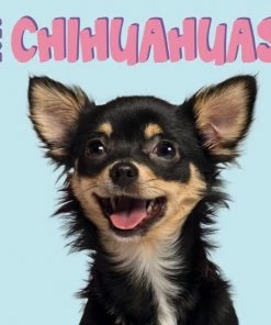 Plenty Gifts Chihuahua Studio Kalender 2023