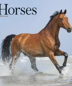 Avonside Paarden Kalender 2023