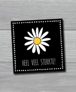 HOUSE OF LOLA Beterschapskaarten / Wenskaarten / Set Kaarten En Enveloppen | 4x | Beterschap -Parker Shop 550x550 418