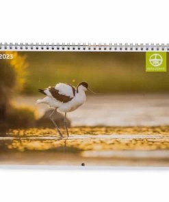 Bekking & Blitz - Maandkalender 2023 - Natuurpunt Vlaanderen Kalender 2023 - Fotokalender - Natuur - Dieren - Rijk Geïllustreerd