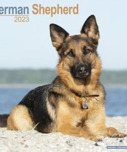 Plenty Gifts Duitse Herder Kalender 2023