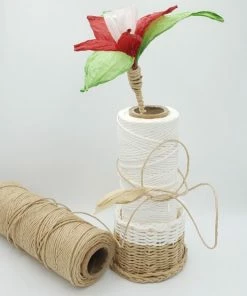 Bau Mart Un Ko ECO Wit Papier Touw Koord Twijnen - 100M - 2mm - Voor Cadeauversiering, Tassen, Hoeden, Borduurwerk, Knutselen, Natuurlijk En Duurzaam Papiergaren - Hobby DIY Koord -Parker Shop 550x555