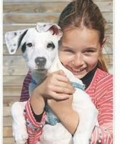 Leitz ILAM UDT Lamineerhoezen A5 125 Micron 100 Stuks 26 Leitz ILAM UDT Lamineerhoezen A5 125 Micron 100 Stuks -Parker Shop 550x723