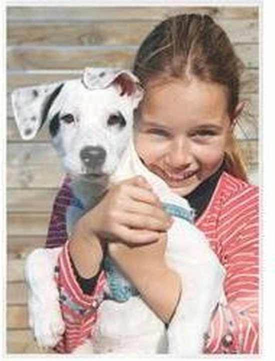 Leitz ILAM UDT Lamineerhoezen A5 125 Micron 100 Stuks 13 Leitz ILAM UDT Lamineerhoezen A5 125 Micron 100 Stuks - Afbeelding 13