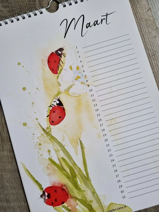Aquarelle Verjaardagskalender - Rosanna Feikens 'Liefde Voor Bloemen' 11 Aquarelle Verjaardagskalender - Rosanna Feikens 'Liefde Voor Bloemen' - Afbeelding 11