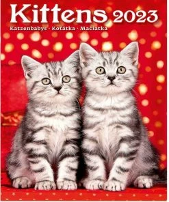 Helma365 C170-23 Kalender 2023 Katjes 24 X 33 Cm