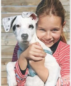 Leitz ILAM UDT Lamineerhoezen A5 125 Micron 100 Stuks 23 Leitz ILAM UDT Lamineerhoezen A5 125 Micron 100 Stuks -Parker Shop 550x761