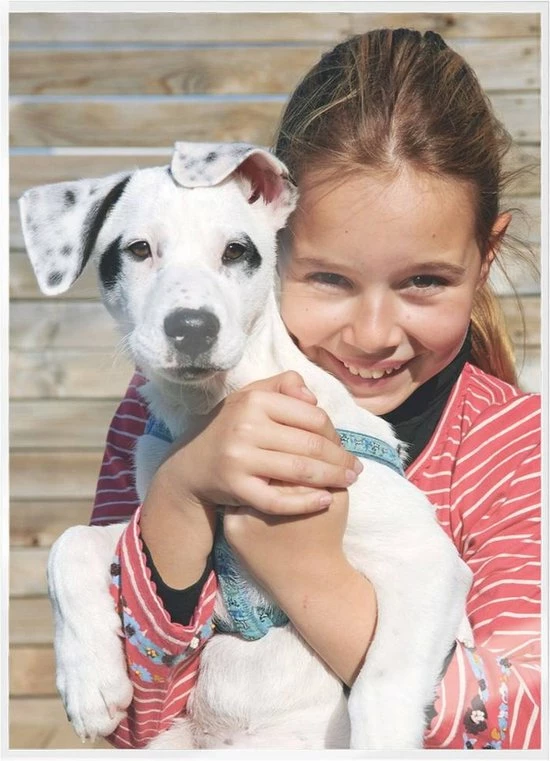 Leitz ILAM UDT Lamineerhoezen A5 125 Micron 100 Stuks 10 Leitz ILAM UDT Lamineerhoezen A5 125 Micron 100 Stuks - Afbeelding 10