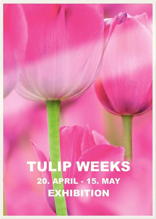 Leitz ILAM UDT Lamineerhoezen A5 125 Micron 100 Stuks 6 Leitz ILAM UDT Lamineerhoezen A5 125 Micron 100 Stuks - Afbeelding 6