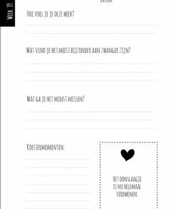 Koestert Zwangerschapsboek - Zwanger – Mijn 9 Maanden Zwangerschap Dagboek – Zwangerschapsdagboek - Negen Maanden Zwanger Invulboek -Parker Shop 550x780 1