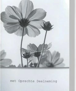 RS C&C 10 Cards & Crafts Condoleance Kaarten - Gecondoleerd / Met Oprechte Deelneming / Sterkte - 16x11cm -Parker Shop 550x832